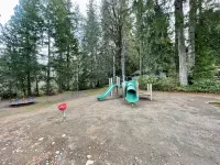 Luxurious Cabin Style Lake House walking distance to Lake Cushman