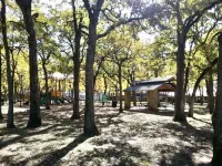 2/1 Cottage near Airport, ConvCntr, MusicFctry, FourSeasons, Omni, Westin, UD