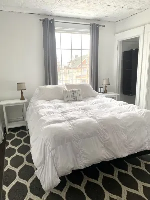Mint Vintage 2 bed apt Walk to the locks Sault USA