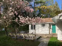 Country Home, outdoor spaces, secluded but close to everything - Homestays