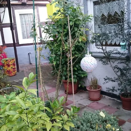 Living in a separate cottage/apartment in the old town of Goslar