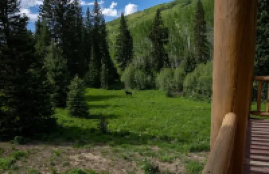 Secluded big cabin within a mile of the resorts. looking for 30d+ rentals