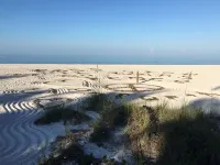 Island Duplex unit: 2-bed/2-bath close to beach, pets welcome