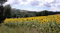 Apartment in the newly built straw bale house Valle delle Rose -