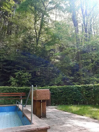 Vacation apartment Panter- dream view in the Black Forest Отели в г. Бад-Петерсталь-Грисбах