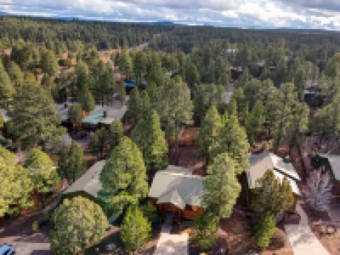 Bear Haven! 2 Bedroom Show Low Cabin!