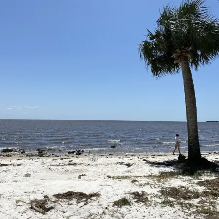 3 Pelicans - Waterfront Condo w Pool & Boat Trailer Parking