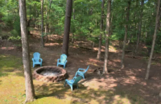 The Hideaway- Cozy Home in the Woods