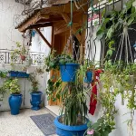 Casa Zitouna- Guest House - Kef, Tunisia Hoteles en 