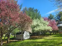 Spacious 4-bedroom house on 1 acre, fenced, GAME ROOM, and party tent rental! Hotels near Lupulin Brewing