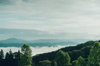 Luonte Kirino Kogen Glamping 시코쿠쵸 호텔