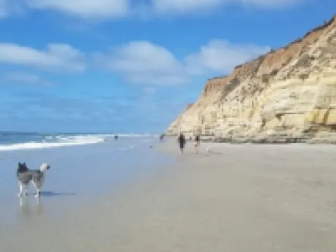 Take it easy at this unique and tranquil getaway. Hotels in Solana Beach