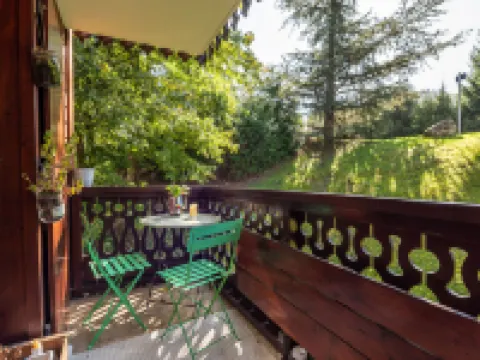 OURSONS 4 Hotels in Morillon