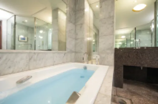 日航大分綠洲大廈酒店 大分酒店