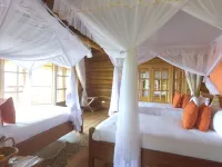 Trackers Safari Lodge Bwindi Hotels in Kinkiizi