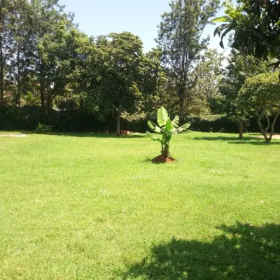 Rigel Inn Hotels near Saruni Mara- Reservations Office