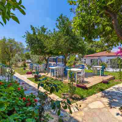 Defne Butik Otel Hotel Exterior