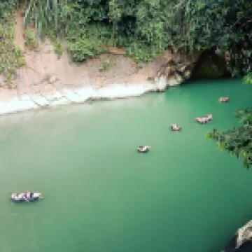 Green Lodge Tangkahan