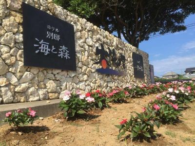 ホテル周辺 ホテル別邸 海と森の写真