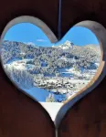 Hotel le Grand Chalet Gstaad - Mountain view