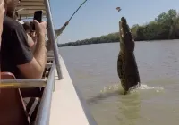 Beachfront Haven Sea View Pool Outdoor Dining