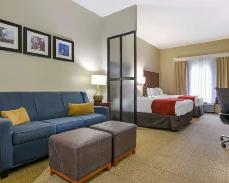 Comfort Suites Fultondale I-65 Near I-22 Hotels in Fultondale