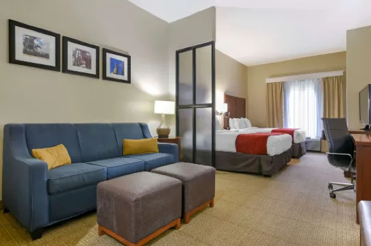Comfort Suites Fultondale I-65 Near I-22 Hotels in Fultondale