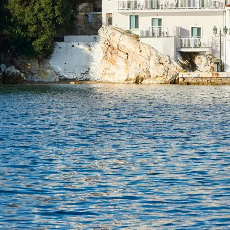 The Water