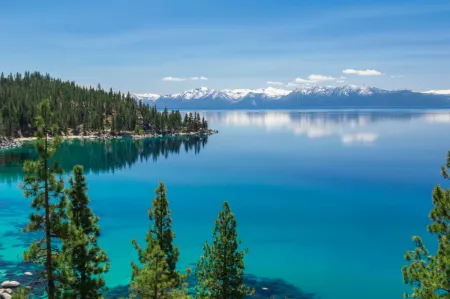 Rare Heavenly 2Br*Lake Views*Shuttle Access*Dog OK