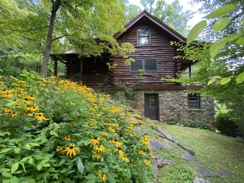 Amazing Views! Hand Built Log Cabin with Hot Tub and Fire Pit