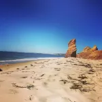 Quintessential Chilmark Retreat Hotels in Chilmark