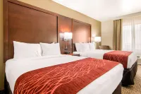 Comfort Inn & Suites Independence - Wifi