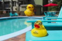 Accent Inns Kelowna - Pools