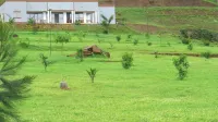 Sipi Valley Resort Hotels in Tingey