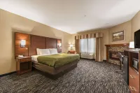Quality Inn & Suites Hendersonville - Flat Rock Hotels in Flat Rock