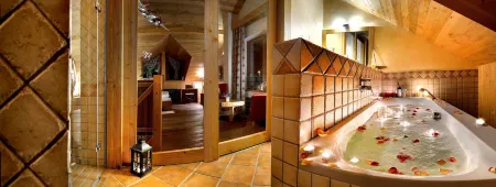 Panoramic Mountain Residence Отели в г. Высоке Татры