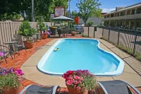 Hermitage Motor Inn - piscina