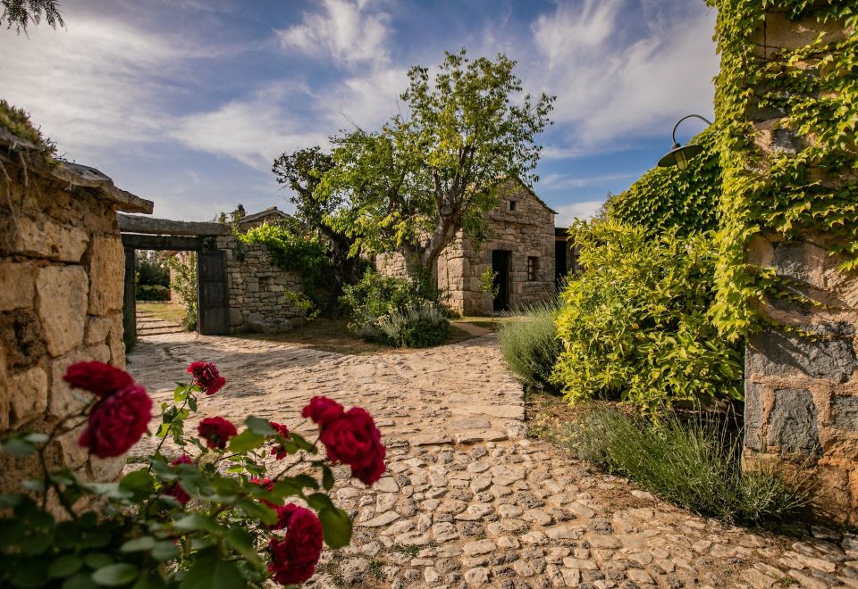 아마드리아 파크 주레 엑스 솔라리스 해변