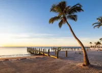 Pines & Palms Resort - Beach