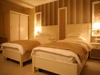Hotel Villa Viktorija Hotels in Trn