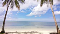 The Bruce Resort Hotels in San Juan