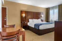 Garner Hotel WARREN NORTHWEST by IHG - Gym