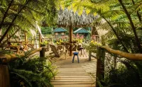 Santuario Natural El Tular Hotels in 