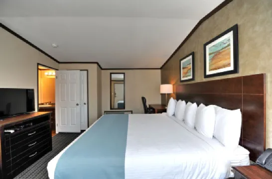 因斯塔洛奇套房酒店 鄰近聖安東尼奧的酒店