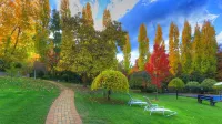 Chestnut Tree Holiday Units Hotels in Freeburgh