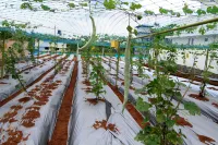 Ayur Bethaniya Ayurveda Hospital Hotels in Cheruthuruthy