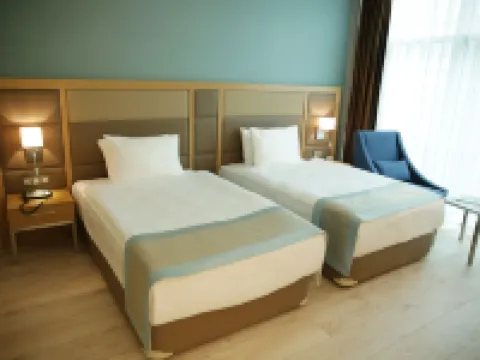 ザ アンカラ ホテル アンカラのホテル