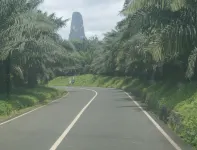 N`Guembú Nature Resort Hotels in Кауї