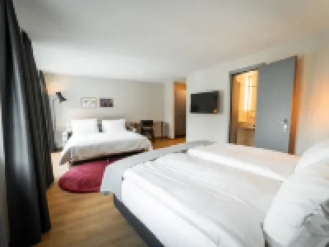 Hotel Stockalperhof Hotels in Brig