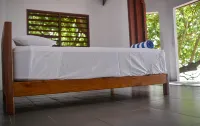 Dany Island Hotels in 